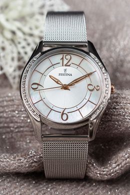 Часы Festina F20420/1