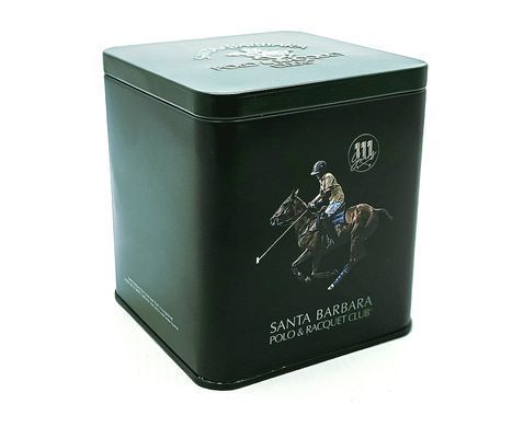 Часы Santa Barbara Polo & Racquet Club SB.1.10624-6