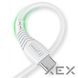 Зар.уст. 220V T-PHOX Mini 12W 2.4A + Type-C Cable 1.2m White