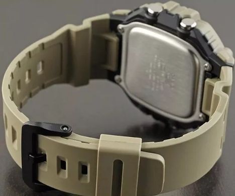 Часы Casio WS-1700H-5AVEF