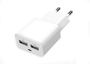 Зар.уст. 220V Florence 2A White (FW-2U020W)