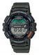 Часы Casio WS-1200H-3AVEF