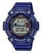 Часы Casio WS-1300H-2AVEF