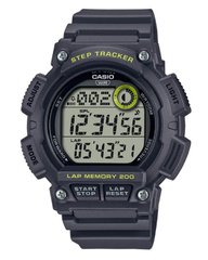Часы Casio WS-2100H-8AVDF