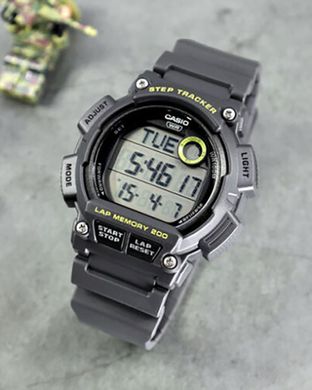 Часы Casio WS-2100H-8AVDF