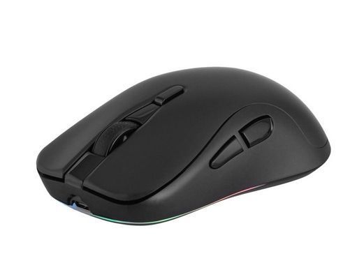Мышка 2E Gaming MG270 WL, WL/BT, Black 2E-MG270UB-WL