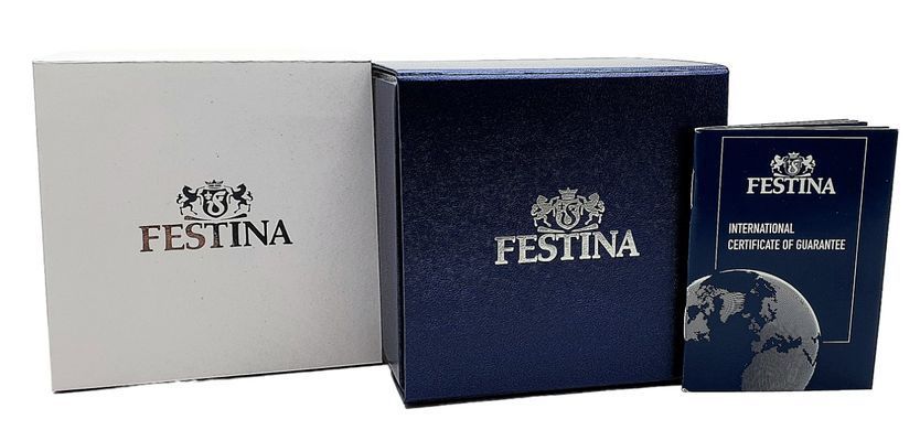 Годинник Festina F20780/1