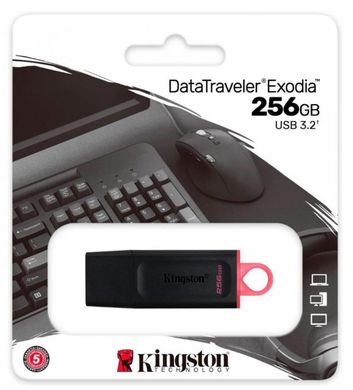 256Gb DT Exodia Kingston USB 3.2 (DTX/256GB)