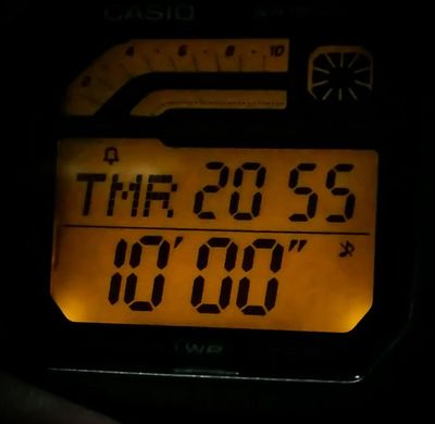 Часы Casio WS-1600H-1AVEF