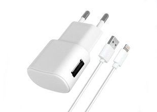 Зар.уст. 220V Florence 1A + Lightning White (FW-1U010W-L)