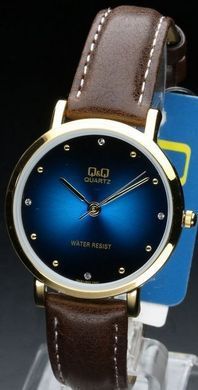Годинник Q&Q QA21-823