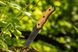 Нож NEO 63-110 Full Tang, бамбукова ручка, титанове покриття, чохол